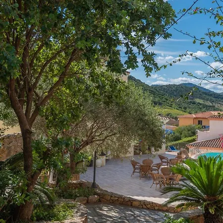 Stunning Bouganvillage Nm1311 *