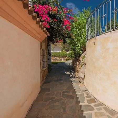 Stunning Bouganvillage Nm1311